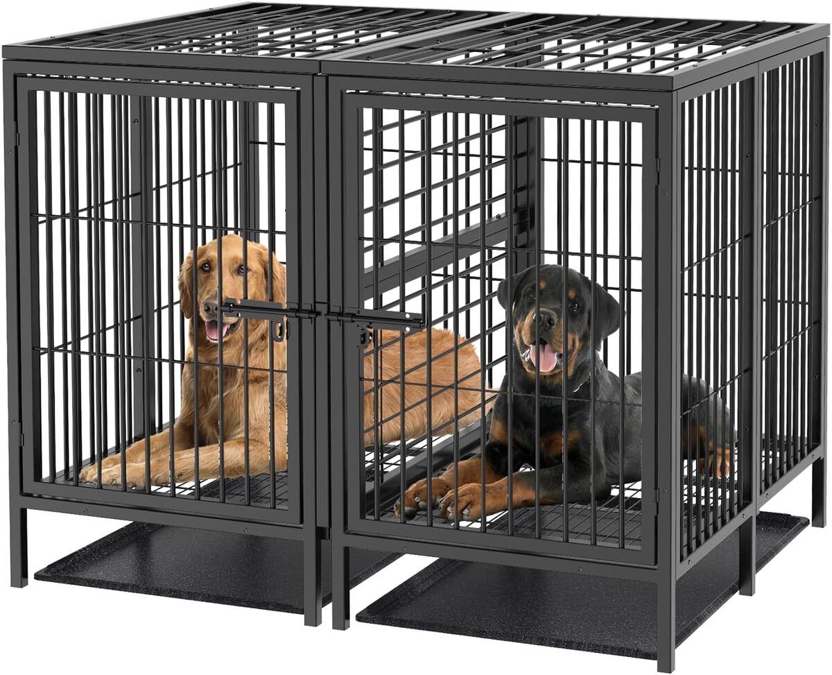 Test : cage XXL pour 2 grands chiens avec diviseur amovible