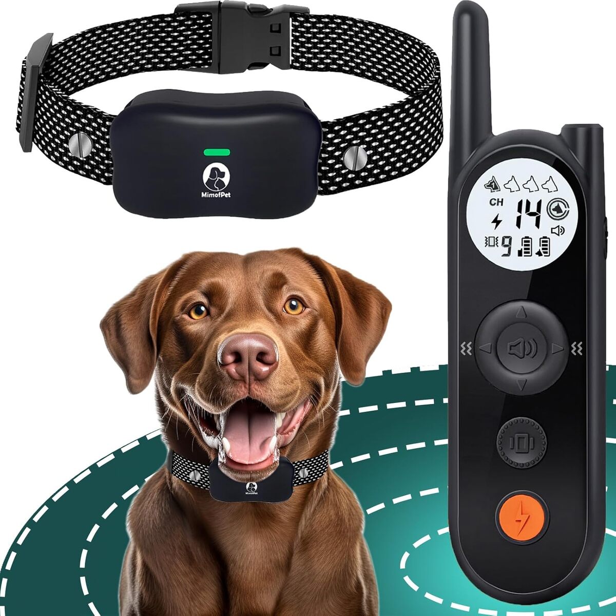 Test de la clôture électronique chien 1050M de dressage