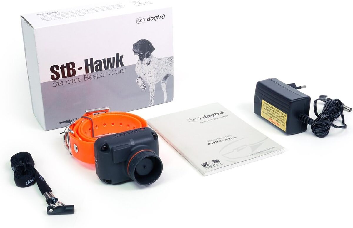 Test Dogtra STB Hawk : accessoires d'éducation pour chien