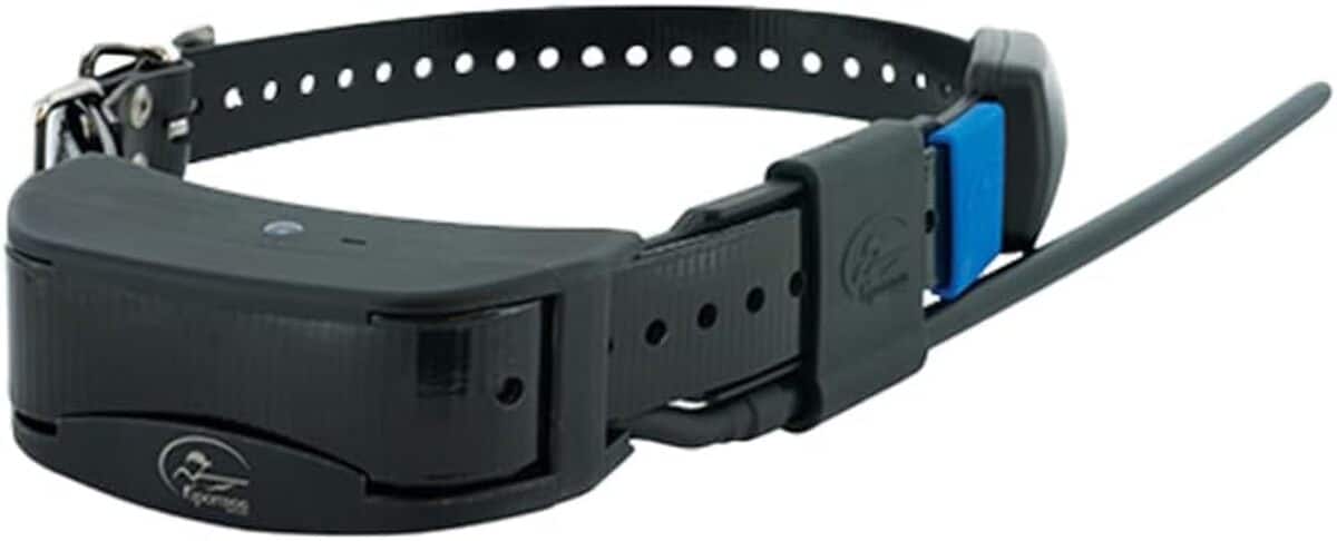 Test du collier GPS TEK 2.0 : ergonomique et efficace sur 16 km