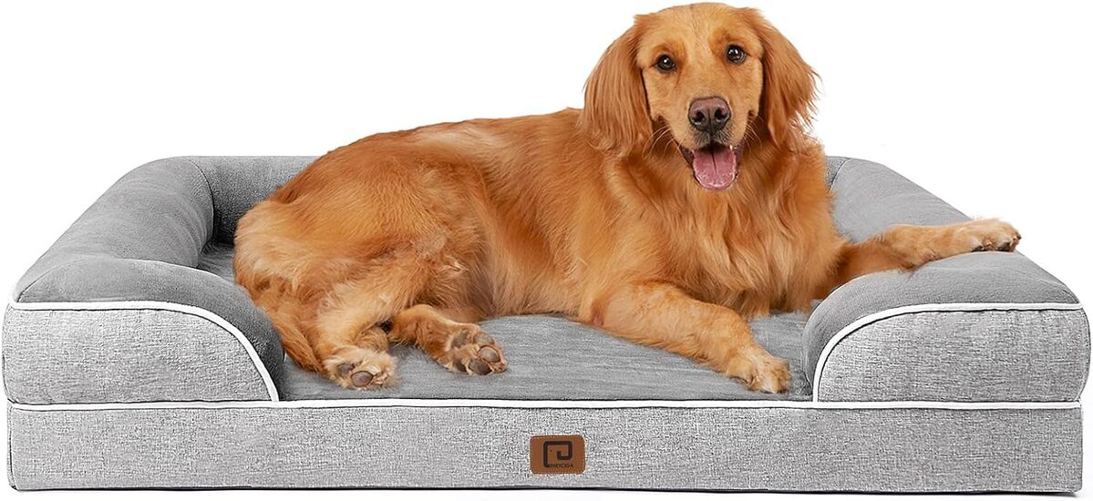 Test : panier EHEYCIGA XXL orthopédique pour chien