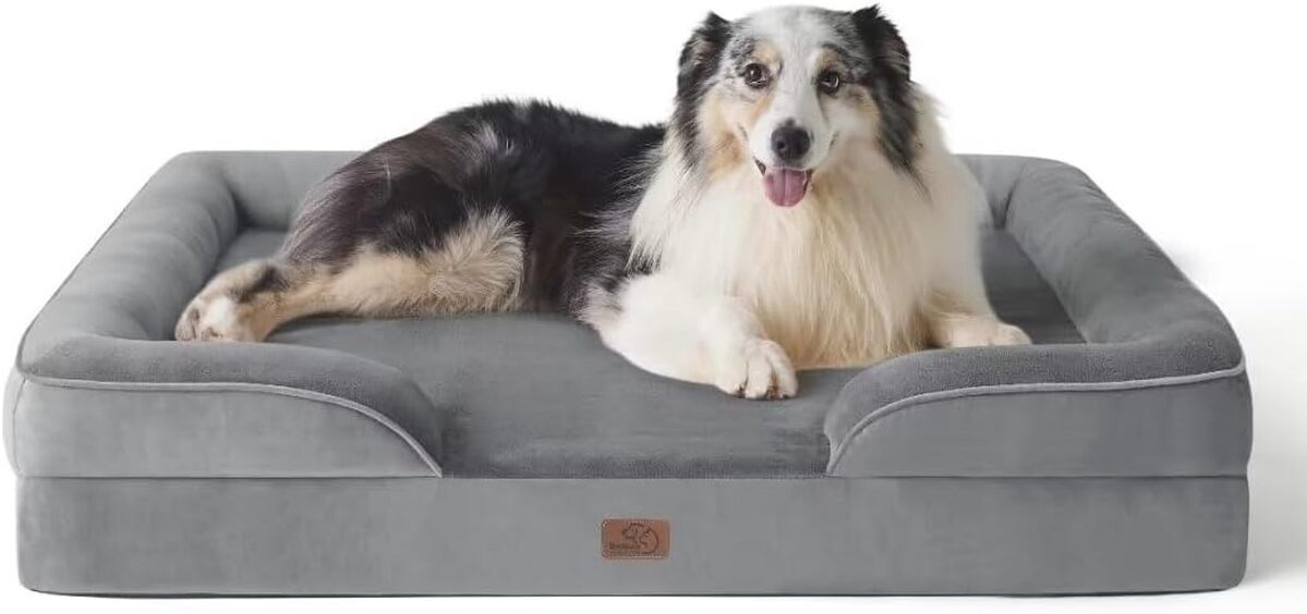Test : panier gris orthopédique Bedsure grande taille pour chien