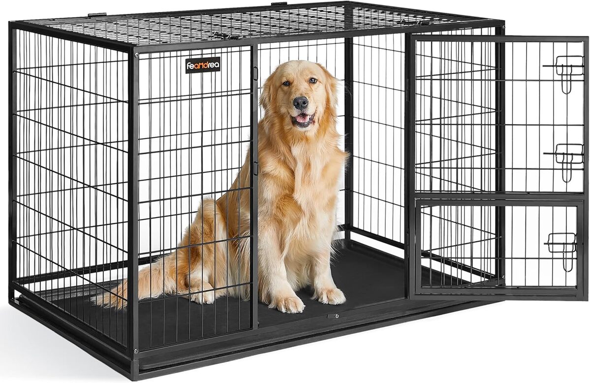 Test : cage Feandrea XXL anti-évasion pour chien