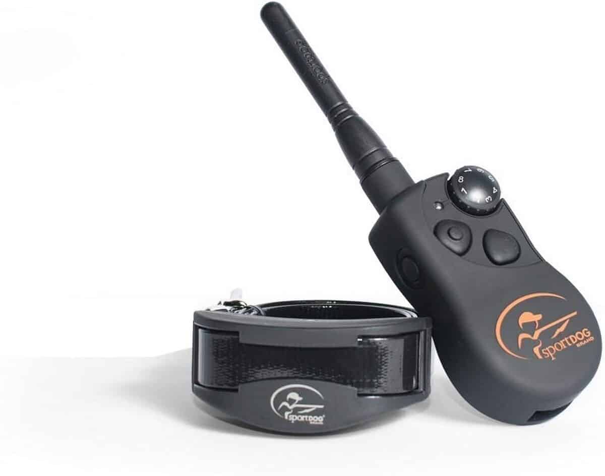 Test du collier SportDOG SportTrainer : dressage à 1200 m