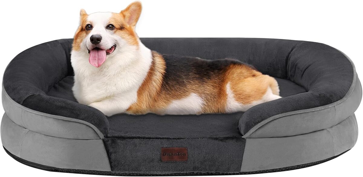 Test du lit orthopédique Dwanton pour chien moyen : confort et praticité