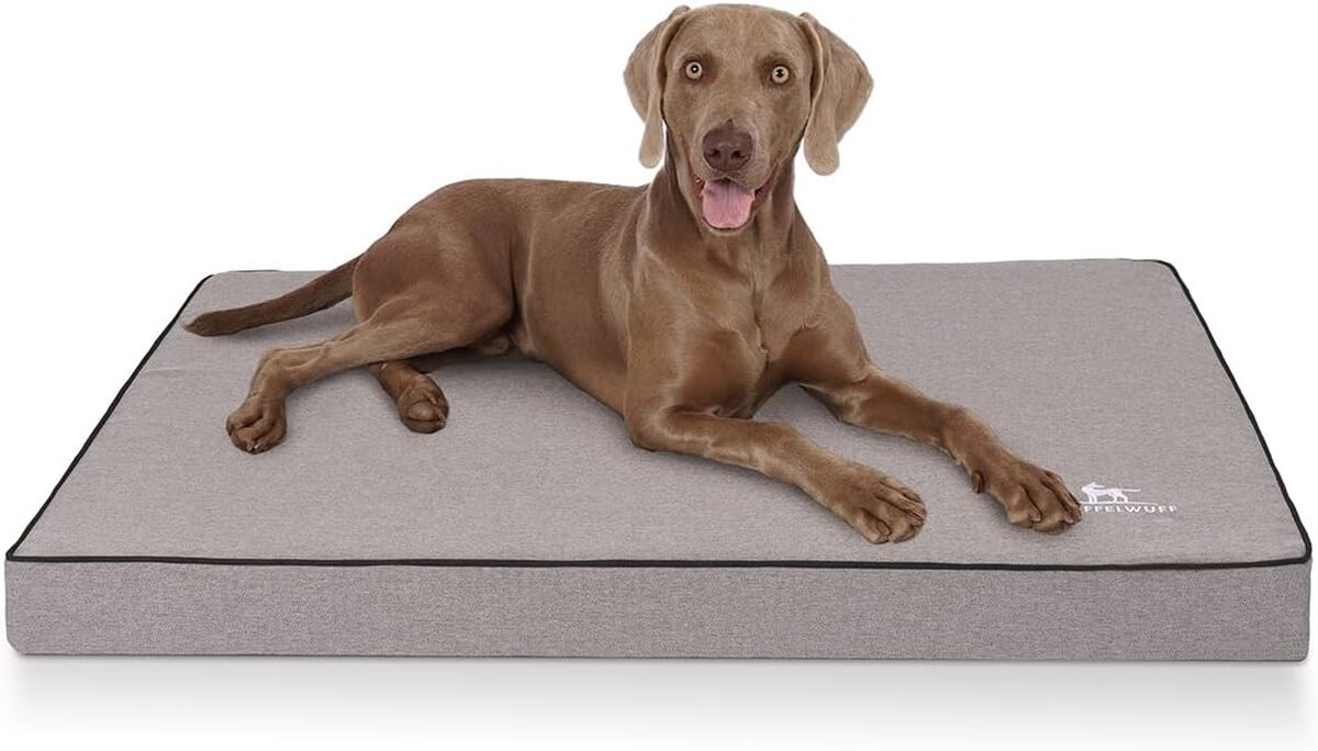 Test : knuffelwuff Nantucket tapis orthopédique velours XXL 115x80 cm