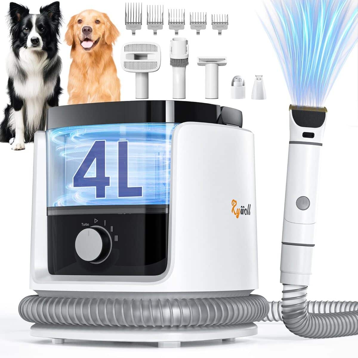 Test : aspirateur Rywell pour poils de chien, grande capacité 4 l