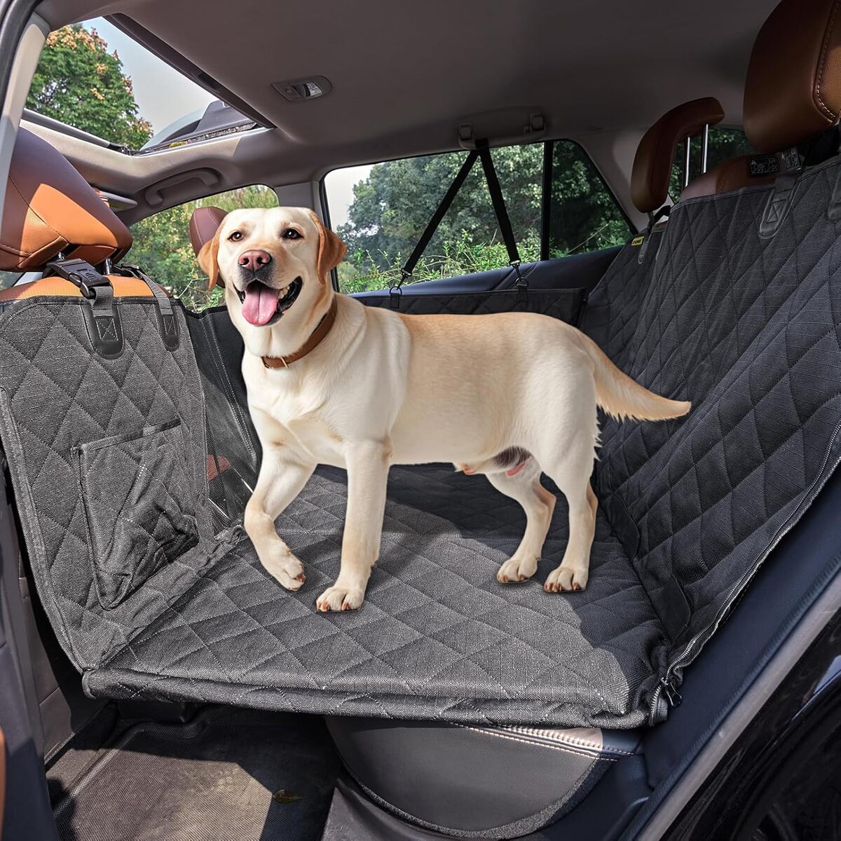 Test de la housse de siège auto ENONCI pour chien : protection ultime et indéchirable