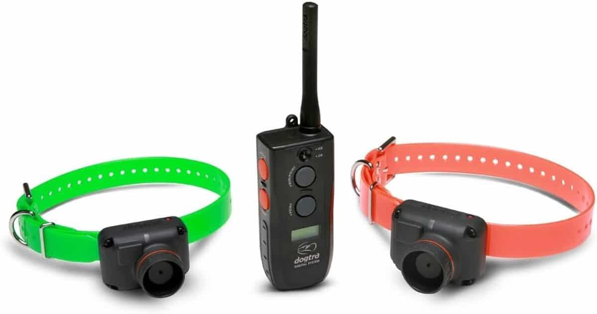 Test Dogtra RB 1002 : collier de repérage 3 modes pour deux chiens