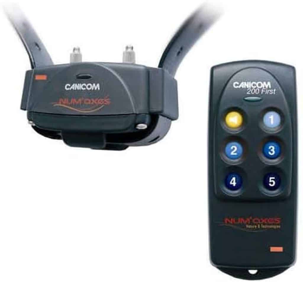 Test du collier de dressage Canicom 200 First par Num'axes