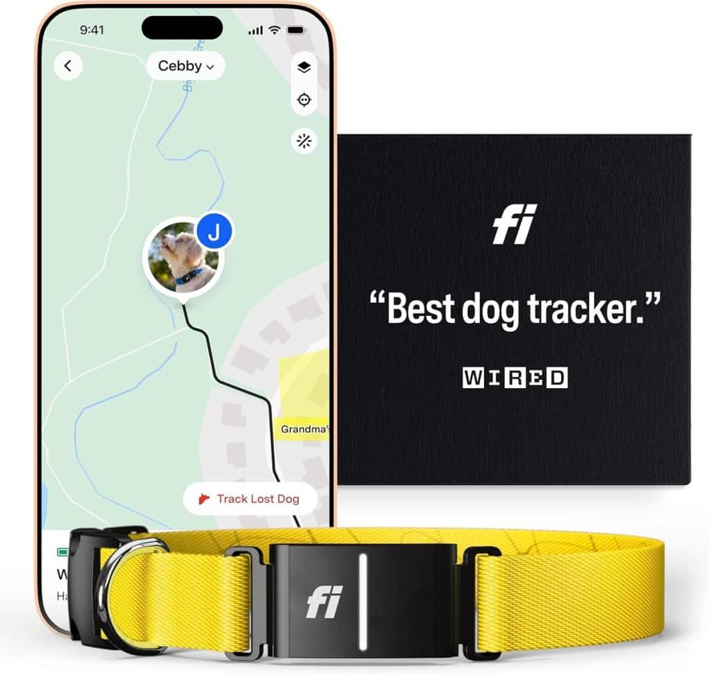 Test Fi Series 3 : collier intelligent pour chien avec GPS et moniteur d'activité