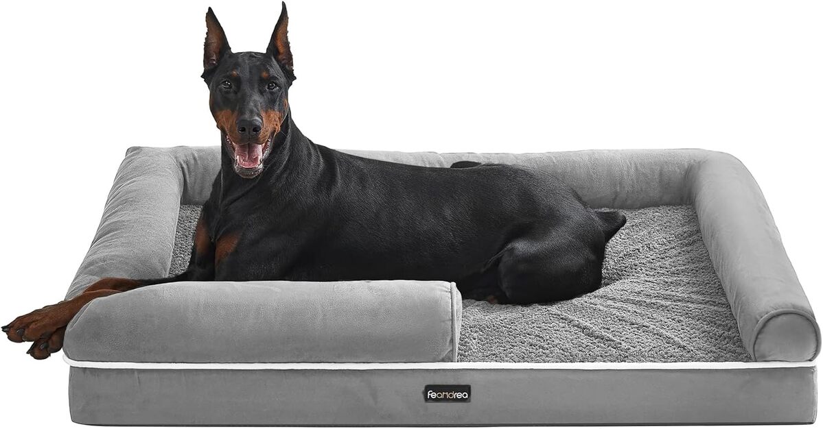 Test du canapé orthopédique pour chien Feandrea PGW078G02 : confort et praticité