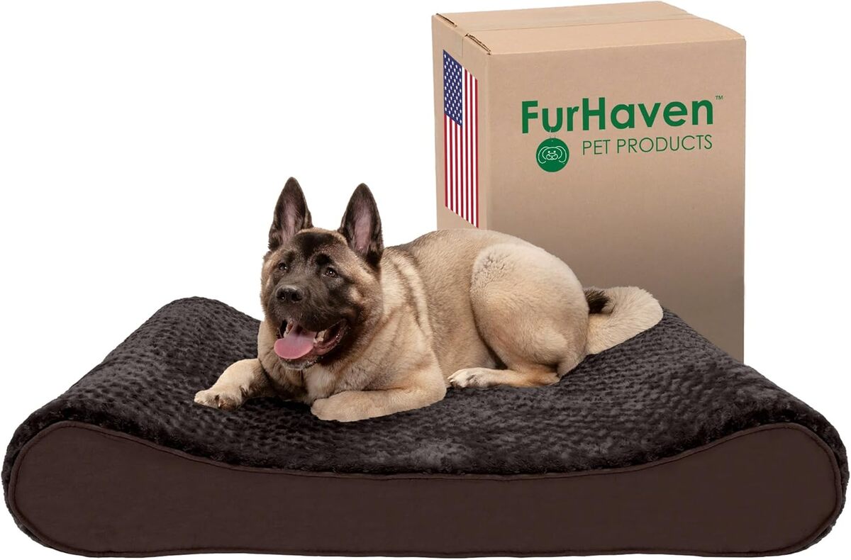 Test du lit pour chien Furhaven en mousse à mémoire de forme, modèle Jumbo