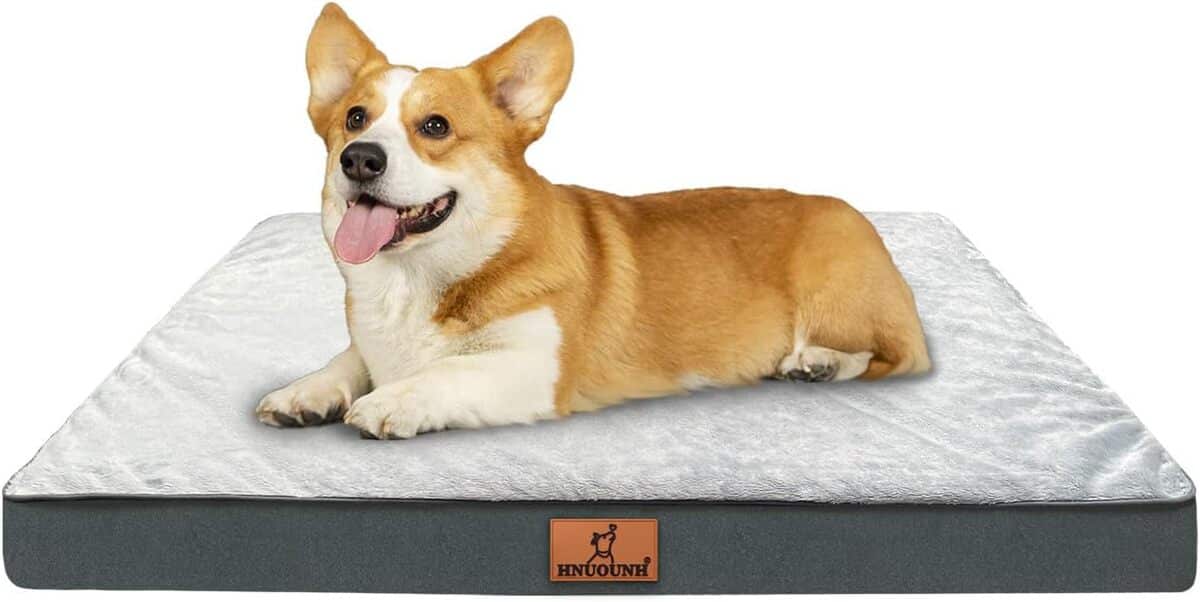 Test du panier HNUOUNH : confort et protection pour votre chien