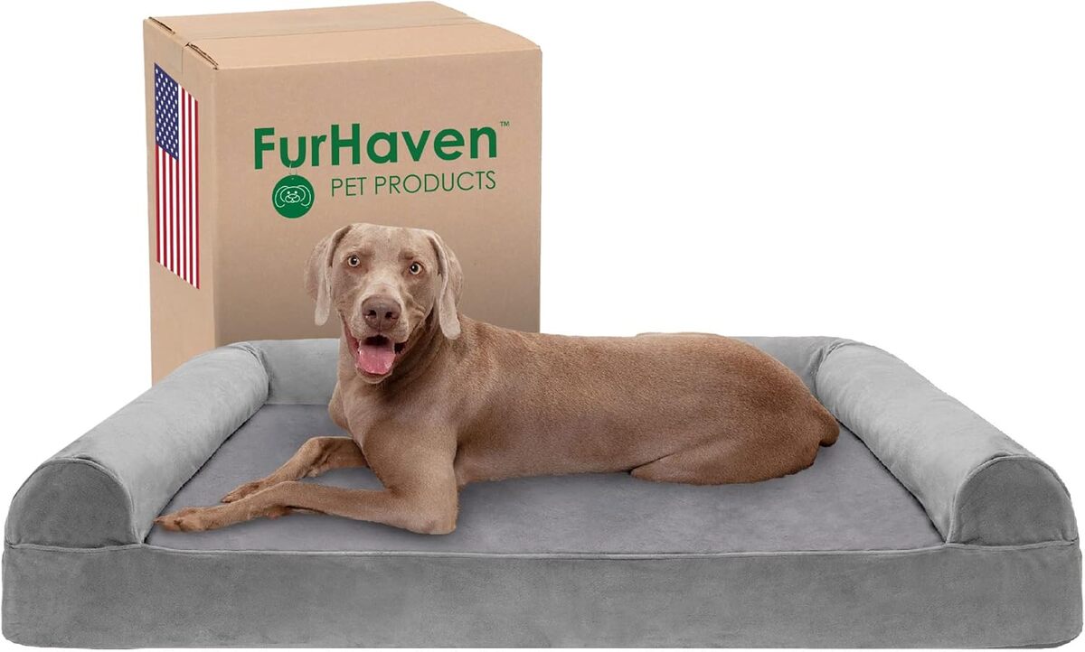 Test du panier orthopédique FurHaven : confort et soutien pour vos animaux