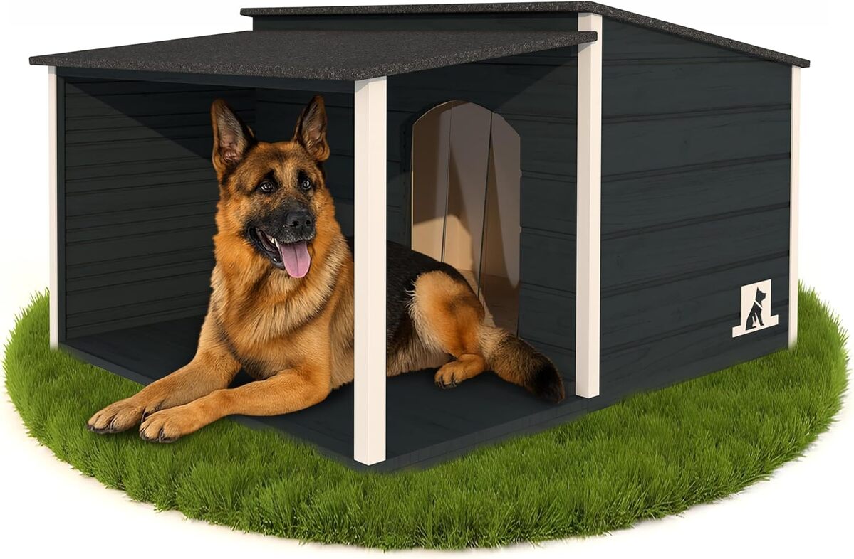 Test : niche isolée XL Outentin pour grand chien