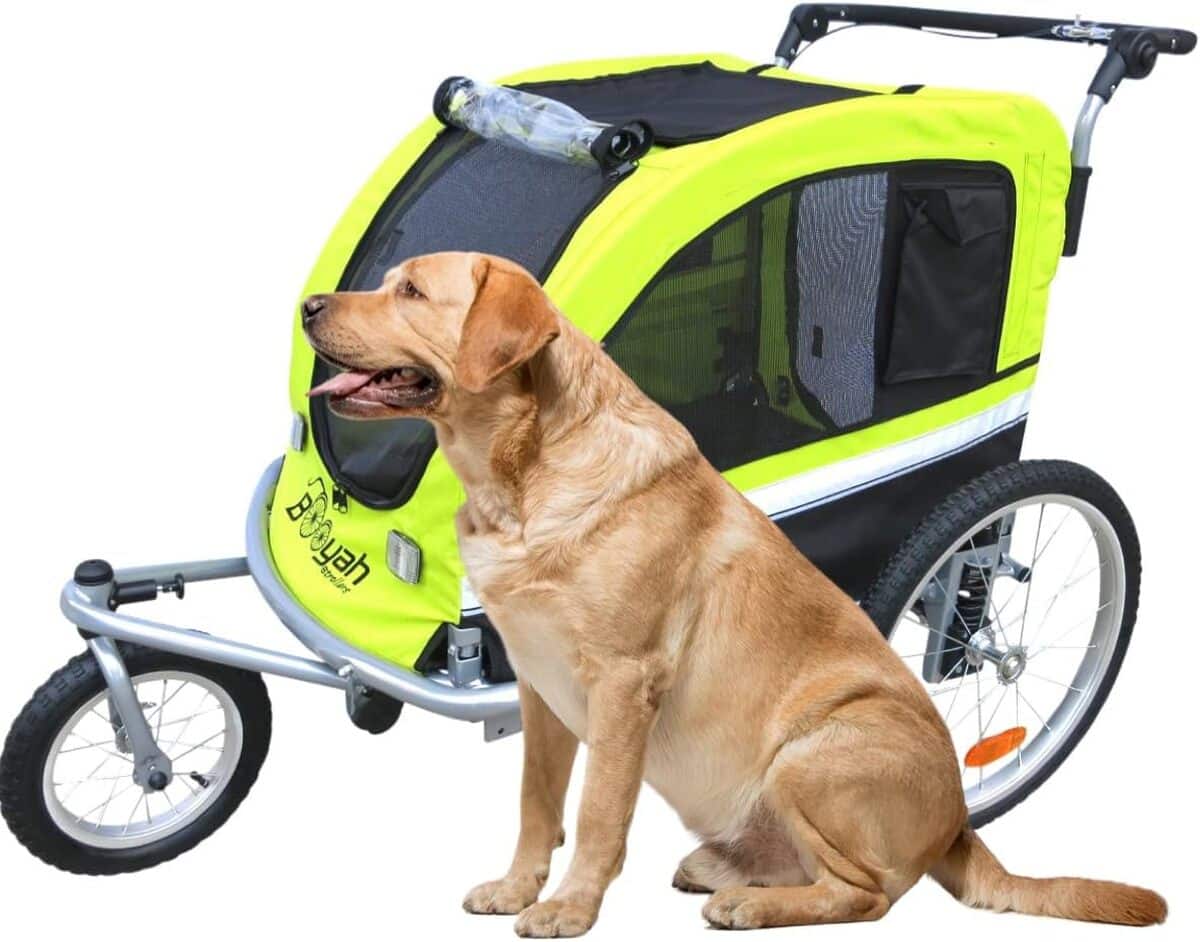 Test : remorque pour chien Booyah Grande anti-basculement
