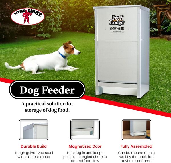 Little Giant CH25 Lot de 2 mangeoires automatiques pour chien en acier épais Capacité 11,3 kg