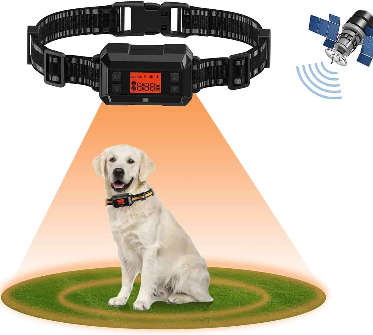 Test de la clôture GPS sans fil : grande précision pour chiens