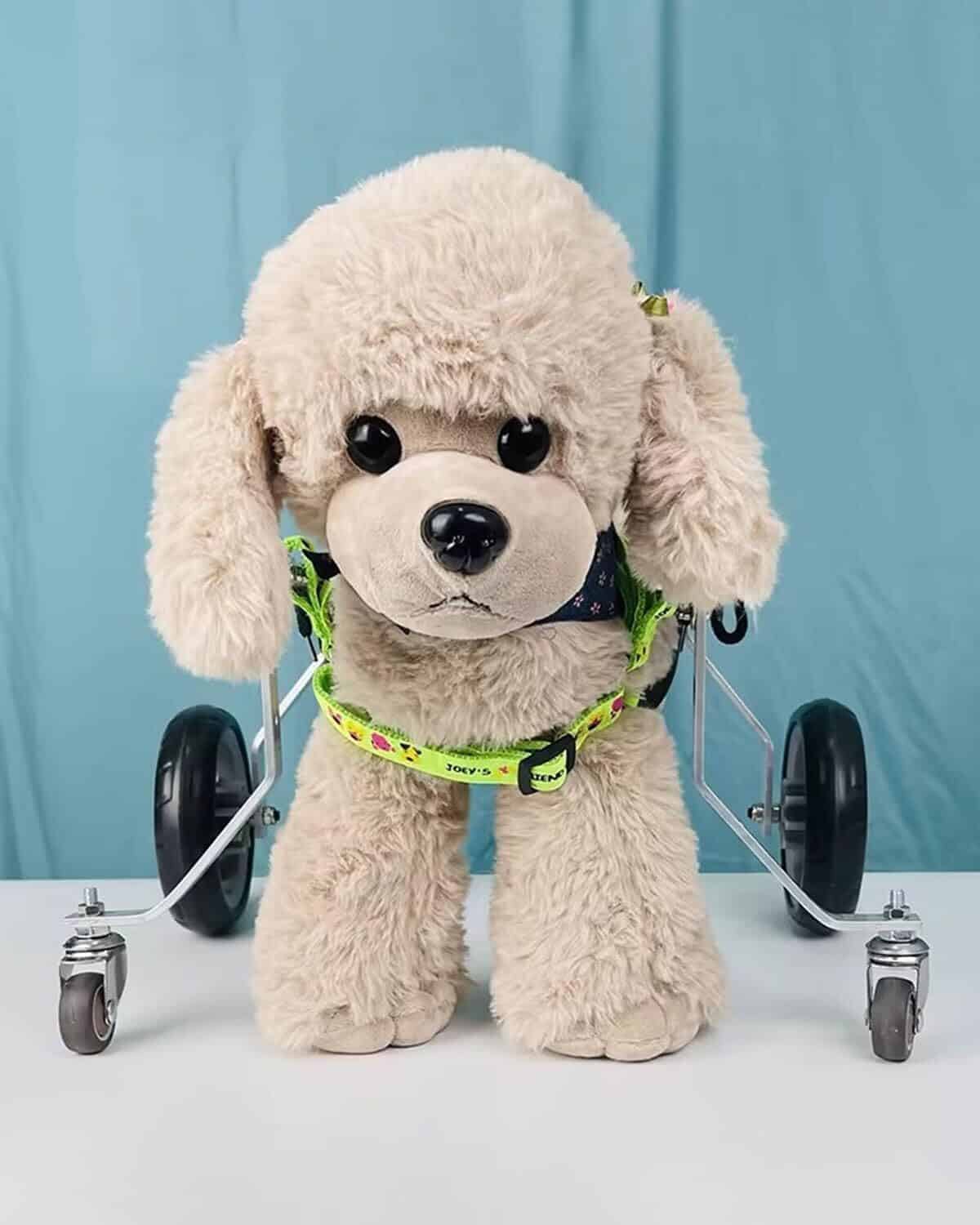 Test du chariot chien 4 roues : aide mobilité complète