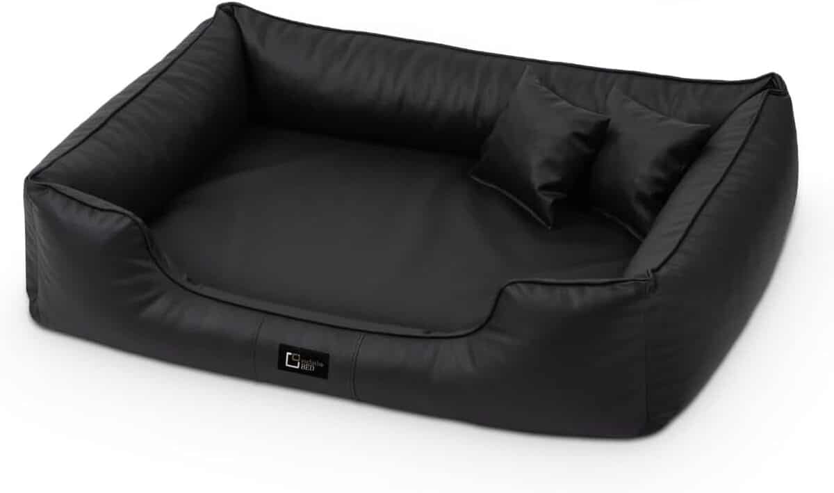 Test du lit orthopédique pour chien BED Max - confort et style XXL