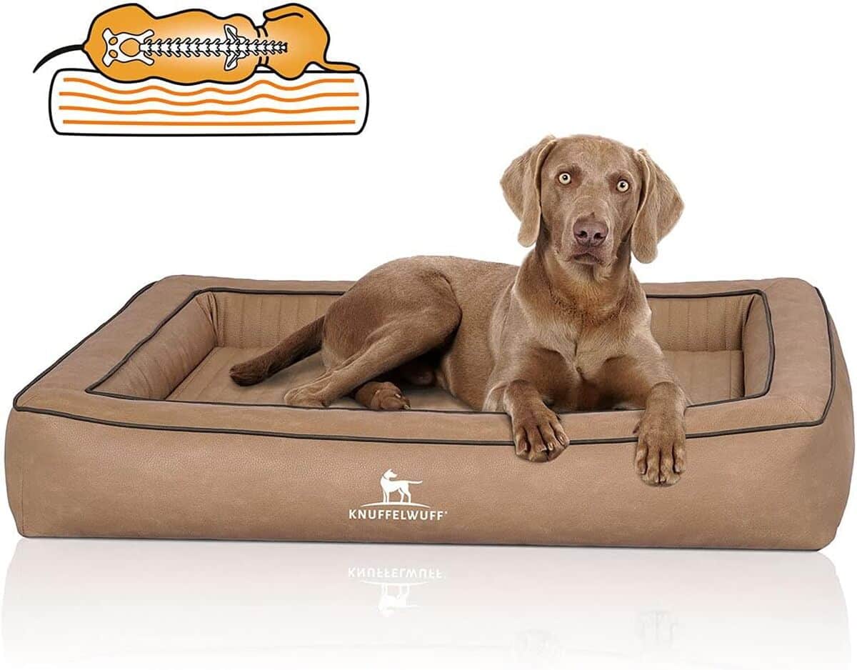 Test : niche orthopédique Knuffelwuff Montego XXXL en cuir chameau