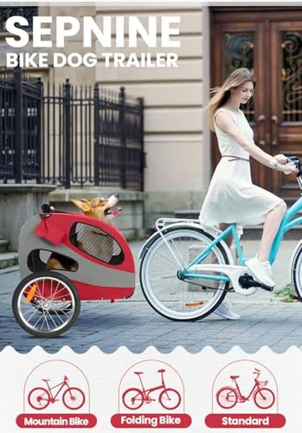 Découvrez notre test de la remorque vélo pour chien Sepnine pliable, idéale pour transporter votre compagnon jusqu'à 30 kg. Assemblage facile et transport confortable, retrouvez tous nos conseils pour des balades réussies avec votre chien.