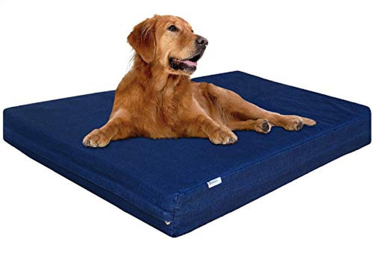 Test du lit orthopédique dogbed4less extra large en mousse à mémoire de forme pour grands chiens