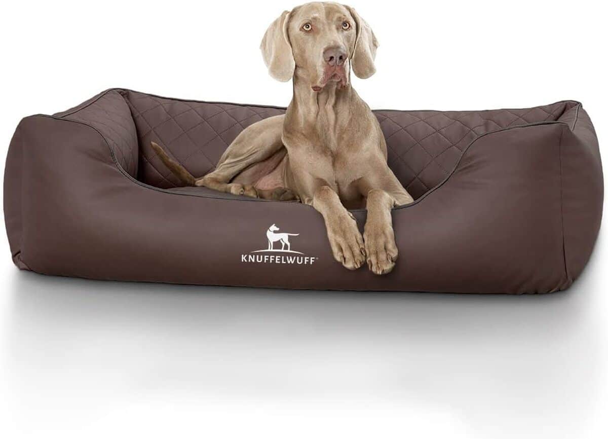 Test du panier orthopédique Knuffelwuff Madison XXL en similicuir