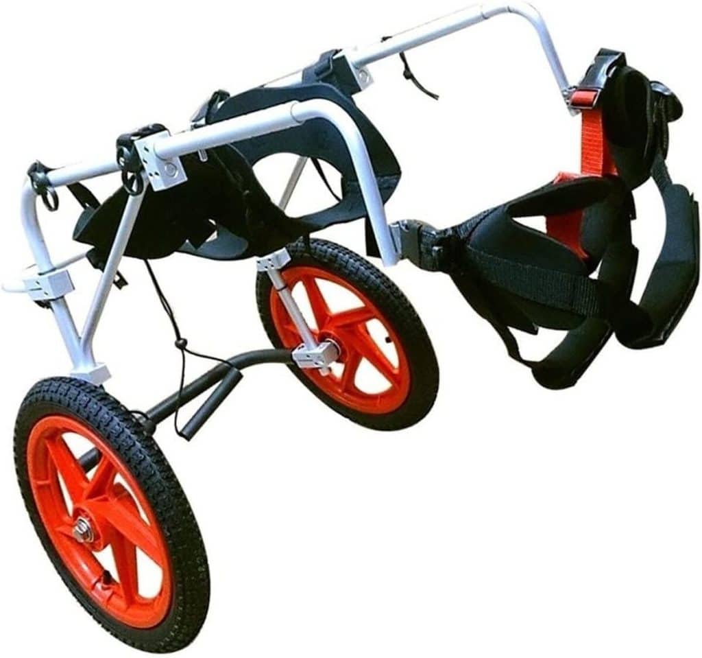 Test : fauteuil roulant chien X-Large b - réhabilitation et mobilité améliorée