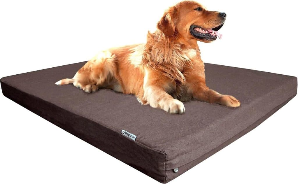 Test : lit orthopédique Dogbed4less en mousse infusée de gel pour chien