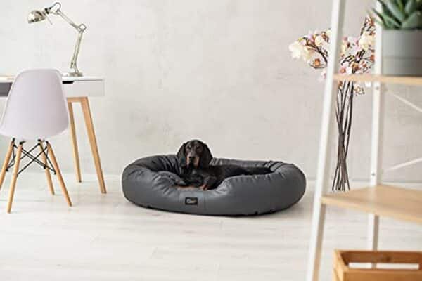 Découvrez notre analyse détaillée du panier pour chien en cuir écologique BED Nancy XXL : un produit indéchirable, confortable et durable pour le meilleur ami de l'homme.