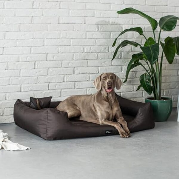 Offrez à votre chien un sommeil réparateur avec le lit orthopédique Puffi Orto 4XL. Conçu pour allier confort optimal et durabilité, ce couchage s'adapte aux besoins de votre fidèle compagnon pour un bien-être assuré.