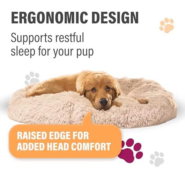 Découvrez notre analyse complète du lit orthopédique apaisant Active Pets pour chien : confort et bénéfices pour la santé de votre compagnon à quatre pattes.