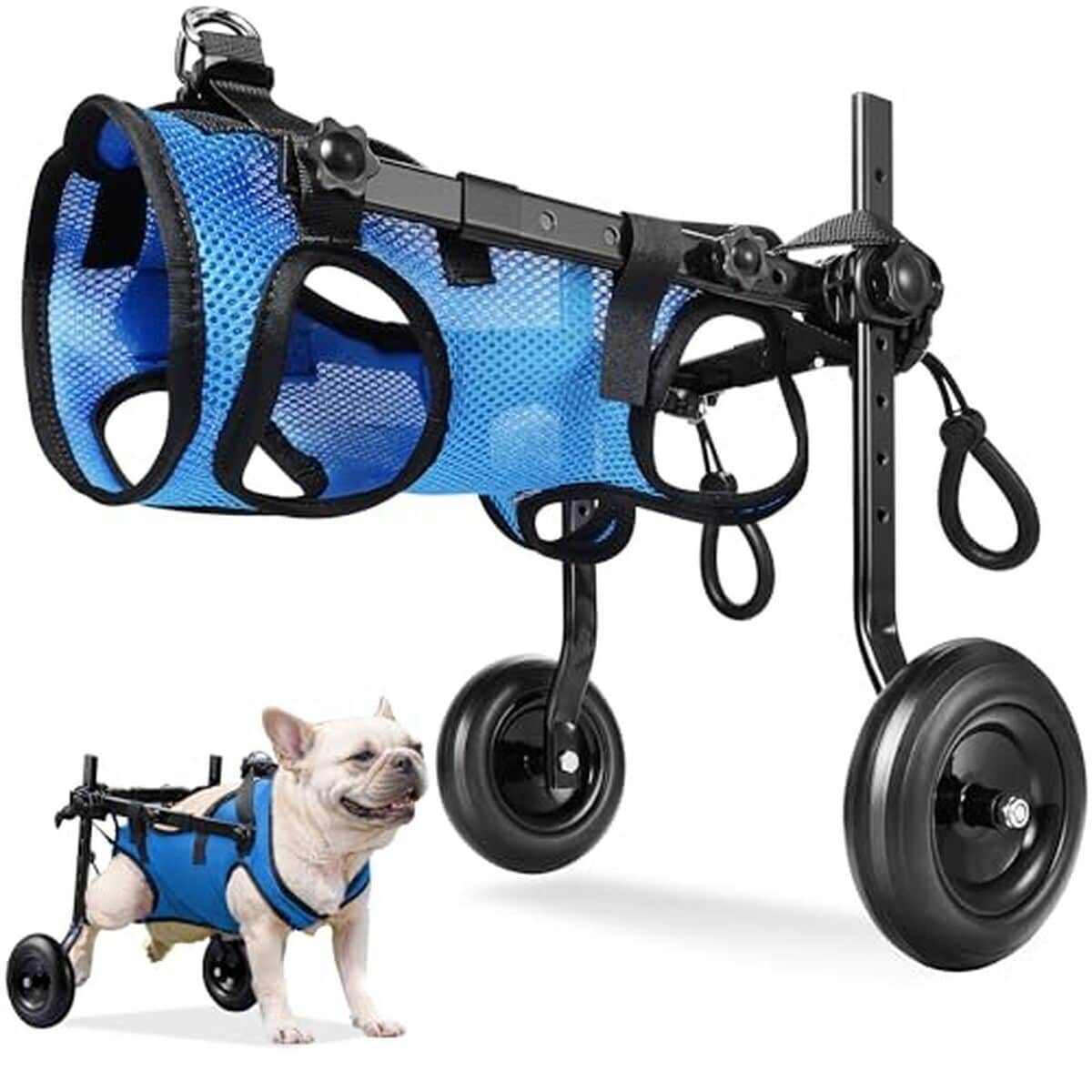 Test du fauteuil roulant Megaflint pour animaux handicapés : mobilité assurée