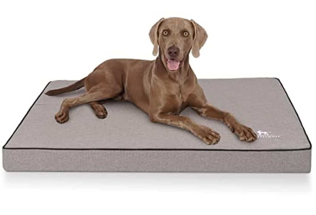 Test du tapis orthopédique Knuffelwuff Nantucket taille XXXL pour chiens