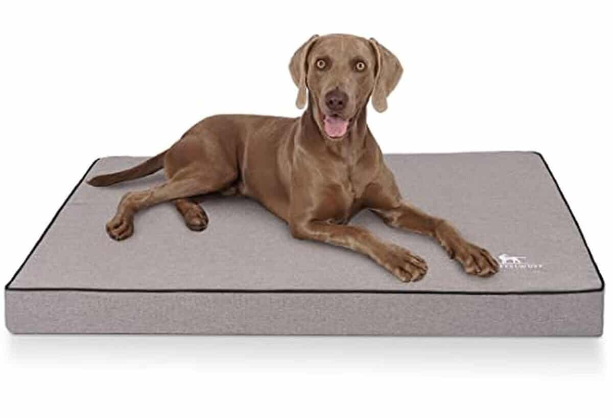 Test du tapis orthopédique Knuffelwuff Nantucket taille XXXL pour chiens