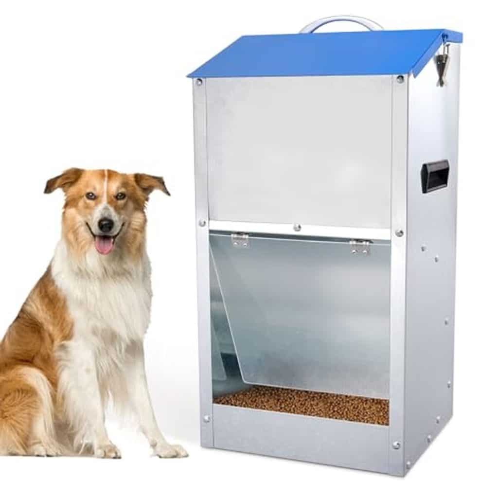 Test : mangeoire automatique pour chiens de grande taille 11, 3 kg
