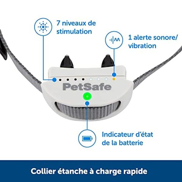 Découvrez le test complet de la clôture anti-fugue PetSafe avec fil, idéale pour sécuriser jusqu'à 2 hectares et protéger vos animaux de compagnie