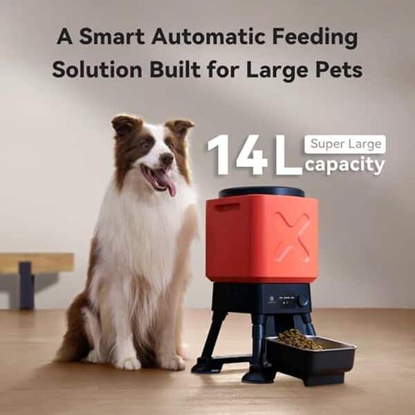 Découvrez notre avis sur la mangeoire automatique WiFi 14L pour chiens: un guide complet pour optimiser le repas de votre animal tout en gardant le contrôle à distance.