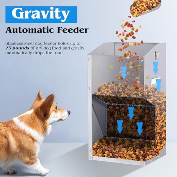 Découvrez notre test de la mangeoire automatique pKNYBZH gravity, parfaite pour les grands chiens : réglages, performances et fonctionnalités expliqués en détail.