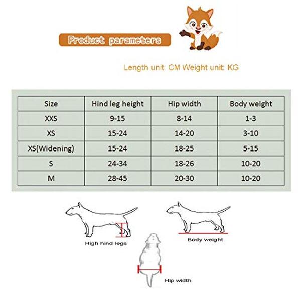 Explorez notre test complet du fauteuil roulant Pet XXS pour petits animaux : confort, sécurité, ajustabilité, découvrez ses atouts pour le bien-être de votre animal