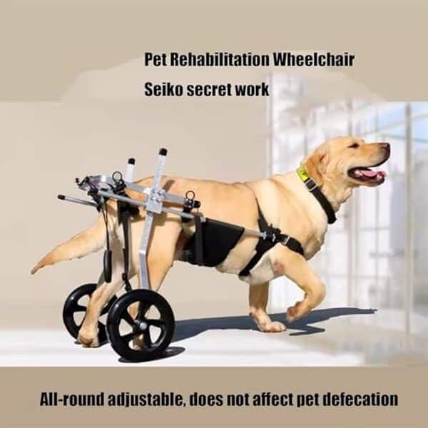 Découvrez notre analyse détaillée du fauteuil roulant XXXL pour chien, conçu pour les races moyennes à grandes, améliorant leur mobilité et bien-être.