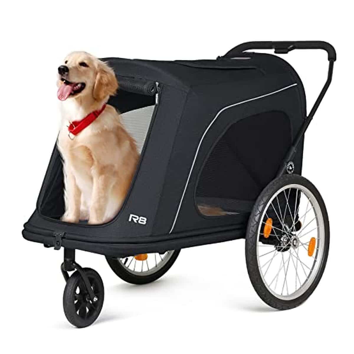 Essai de la remorque poussette Beberoad 2 en 1 pour chiens jusqu'à 45 kg