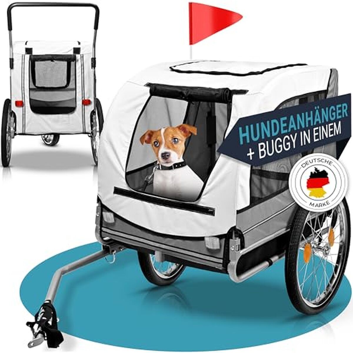 Test de la remorque pour chien PFOTENGUT® 2 en 1