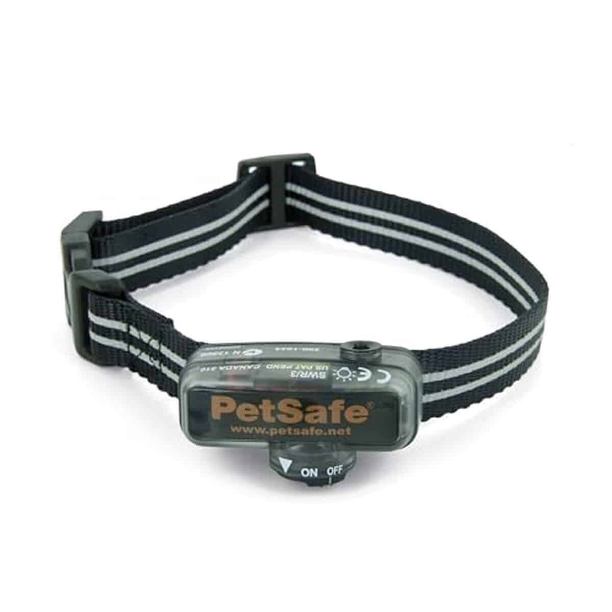 Test du collier léger et imperméable PetSafe anti-fugue avec sangle réfléchissante pour petits chiens