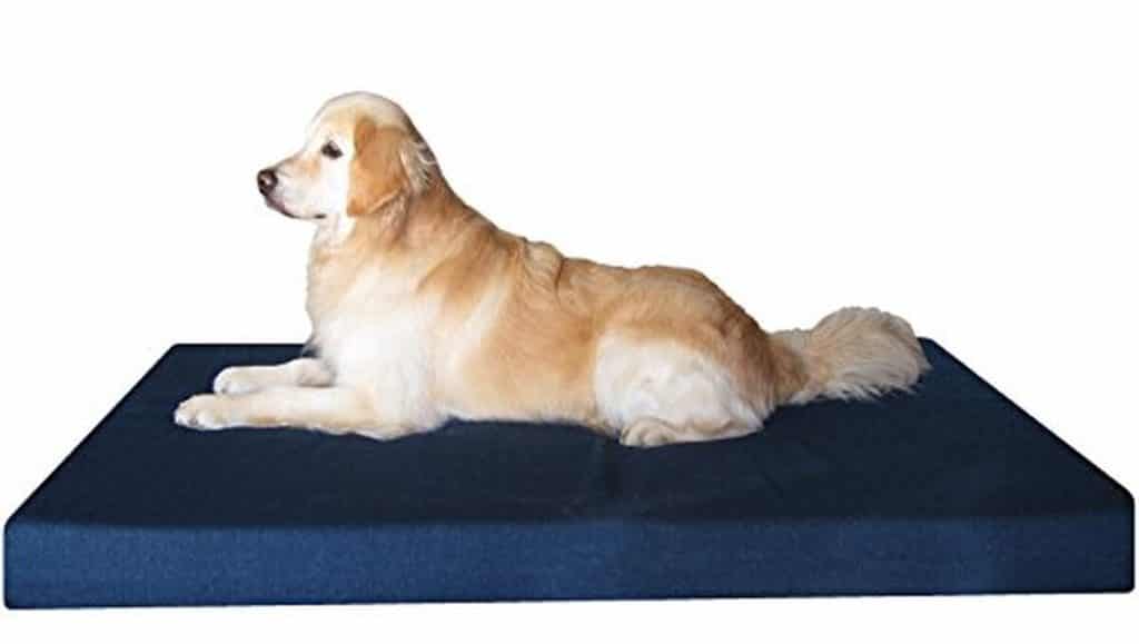 Test du lit orthopédique XXL Dogbed4less pour grands chiens
