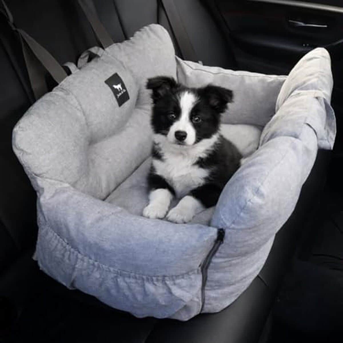 Test du siège auto et lit Jacko & Co pour petits chiens