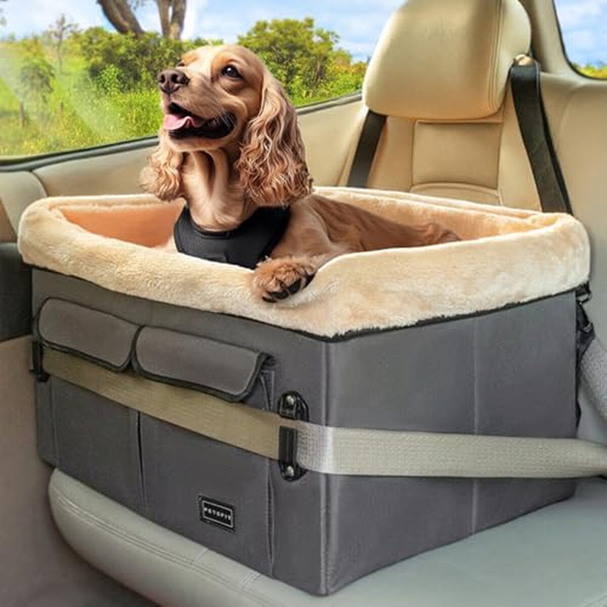 Test : siège auto Petsfit pour chiens moyens, pratique et sécurisé