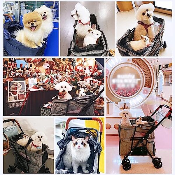 Découvrez la poussette MegLob Cat pour deux animaux : notre analyse détaillée pour le confort de vos chiens et compagnons